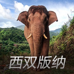 莱万：我从三场比赛前就有点小问题，今天情况已经好多了